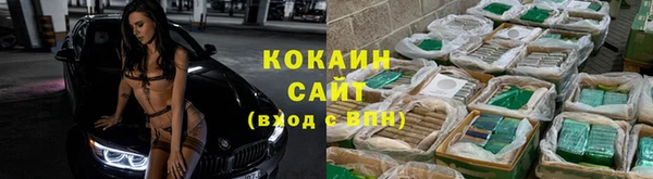 спиды Аркадак