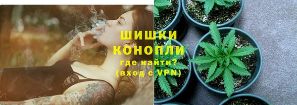 крисы Арсеньев