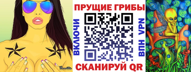 Купить закладки  Туринск  Псилоцибиновые грибы мицелий 